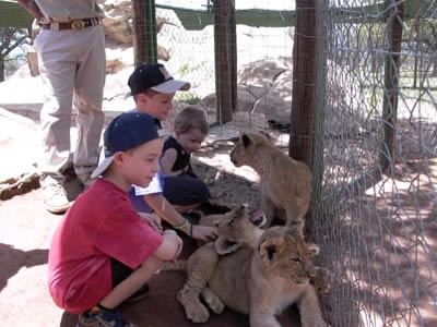 Click for original image 29k 400x300