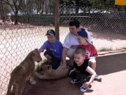 Click for large version