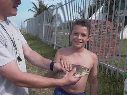 Click for original image 27k 410x307