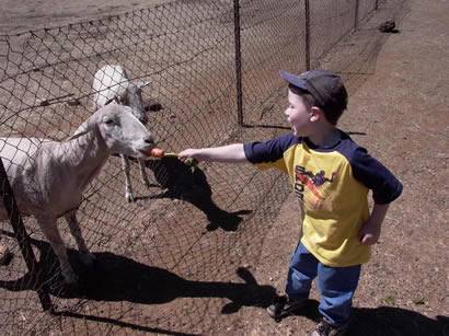 Click for original image 36k 410x307