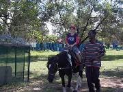 Click for large version