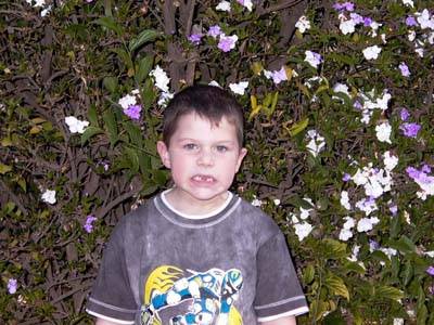 Click for original image 81k 400x300