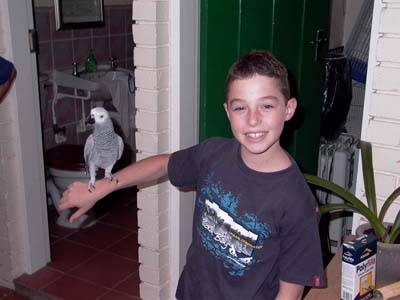 Click for original image 52k 400x300