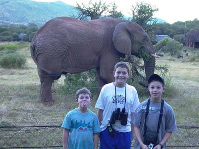 Click for original image 60k 400x300