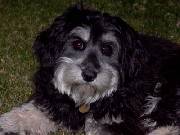 Click for large version