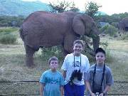 Click for large version