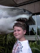 Click for large version