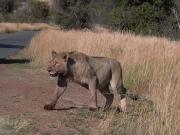 Click for large version